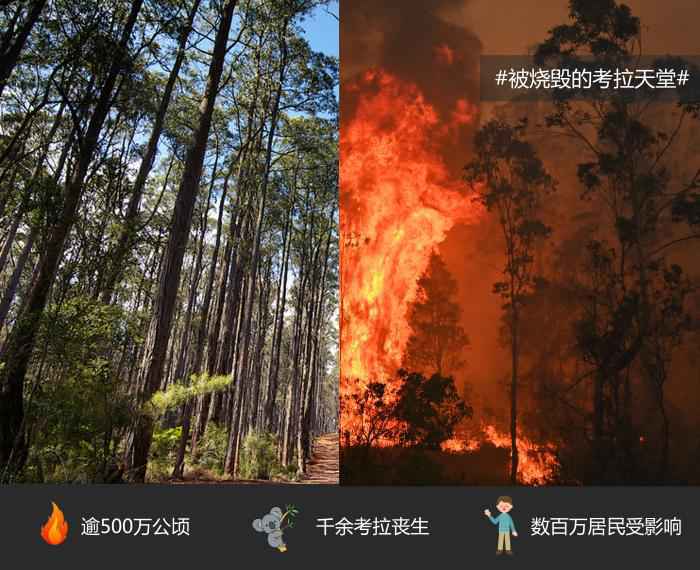 2019年地球火殇图:毁掉文化遗产 只需一场大火!