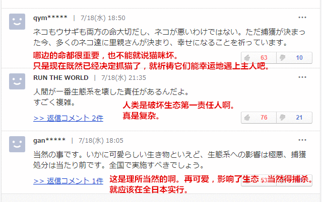 日本这岛闹"猫灾" 政府出手抓了110只送市民养