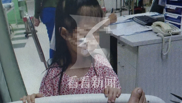 泰国惊魂!大象载中国游客狂奔 全家老小6人受伤