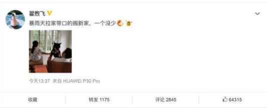 童瑶秒删围观佟丽娅雷佳音绯闻 佟丽娅雷佳音到底什么关系