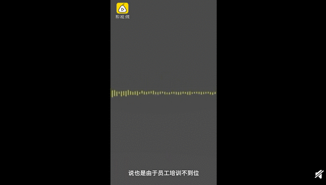 导盲犬进海底捞被拒视频：导盲犬到底该不该进入餐厅？