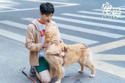 导盲犬进海底捞被拒视频：导盲犬到底该不该进入餐厅？