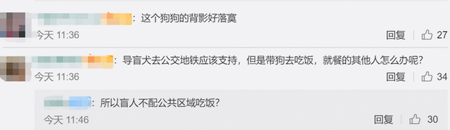 导盲犬进海底捞被拒视频：导盲犬到底该不该进入餐厅？