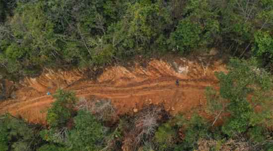 2020年1月1日的航拍图显示，施工便道穿林而过且远离河道，不符合环评要求，且对林地树木造成严重破坏。 受访者供图