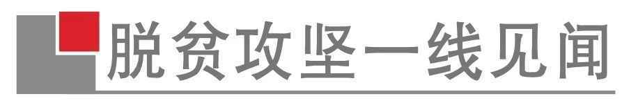 三江归东村：野生葡萄显神奇 变身致富“金疙瘩” 丨新春走基层