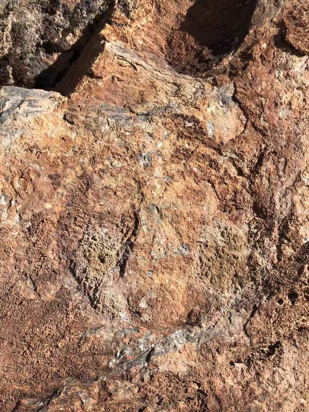 青藏高原首次发现人面岩画