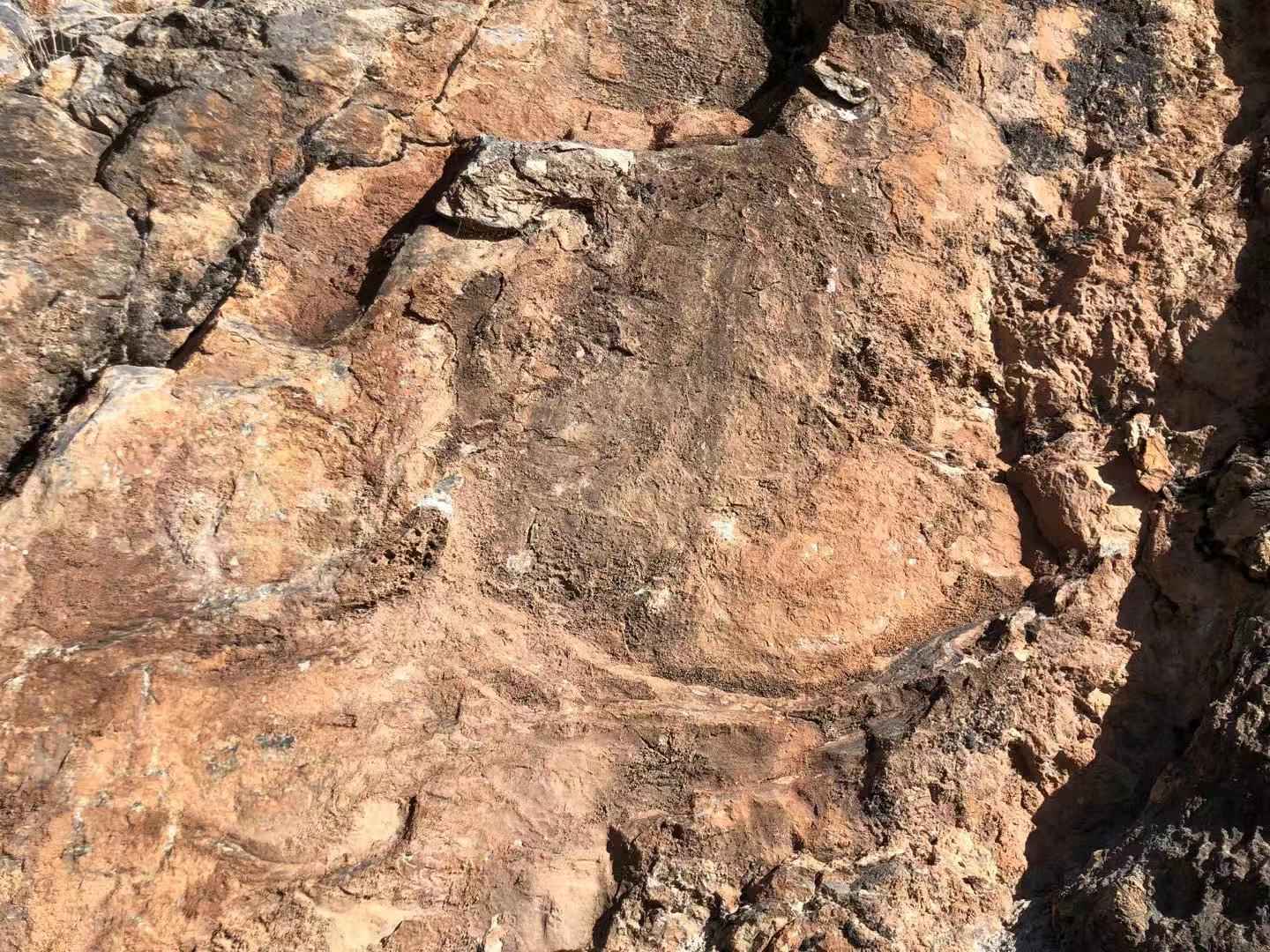 青藏高原首次发现人面岩画
