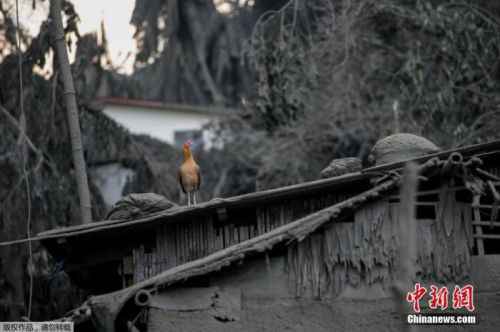 菲律宾塔阿尔火山活动暂歇 当局警告危险性仍高