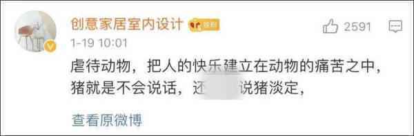 景区开业让200斤猪蹦极 网友吵翻了