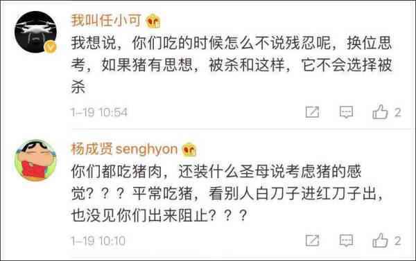 景区开业让200斤猪蹦极 网友吵翻了