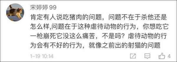 景区开业让200斤猪蹦极 网友吵翻了