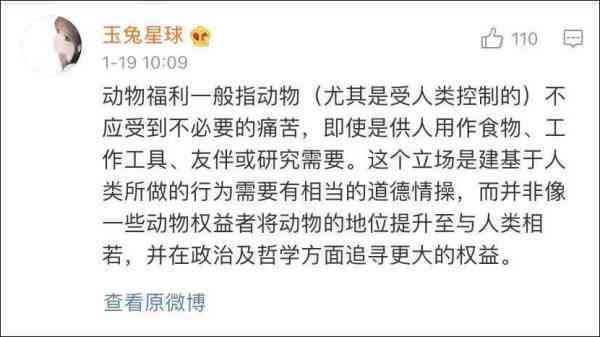 景区开业让200斤猪蹦极 网友吵翻了