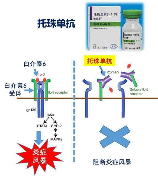 安徽：院省携手攻关，靠科技打赢“战疫”