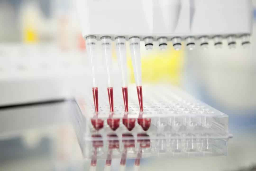 只要体内有抗体，就能抵抗新冠病毒吗？丨追问新冠肺炎