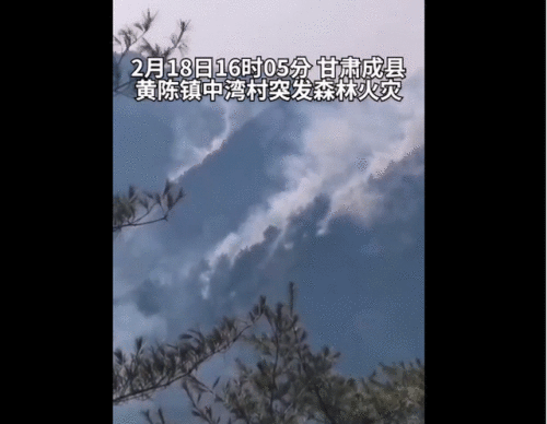 甘肃突发森林火灾怎么回事？甘肃突发森林火灾最新消息扑灭了吗