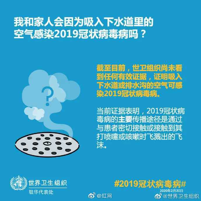 新冠病毒可通过蚊子、下水道空气传播？世卫组织这样回应