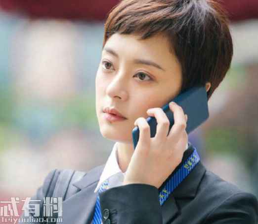安家电视剧免费观看(1-54集) 房似锦和徐文昌最后会在一起吗？