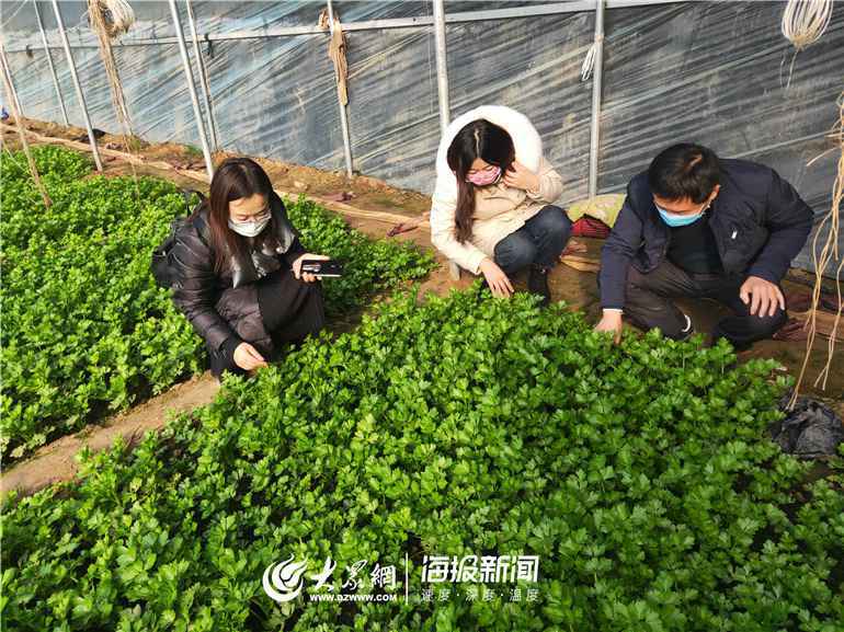 线上线下齐发力，全国农技推广体系尽锐出战