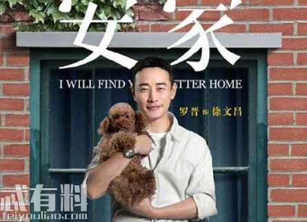 安家张乘乘的孩子是谁的？徐姑姑什么时候开始喜欢房似锦？