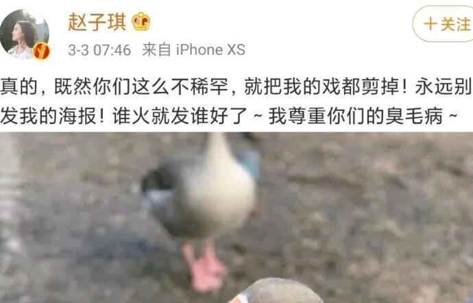 重生赵子琪海报怎么回事 赵子琪个人资料怒斥剧组说了什么
