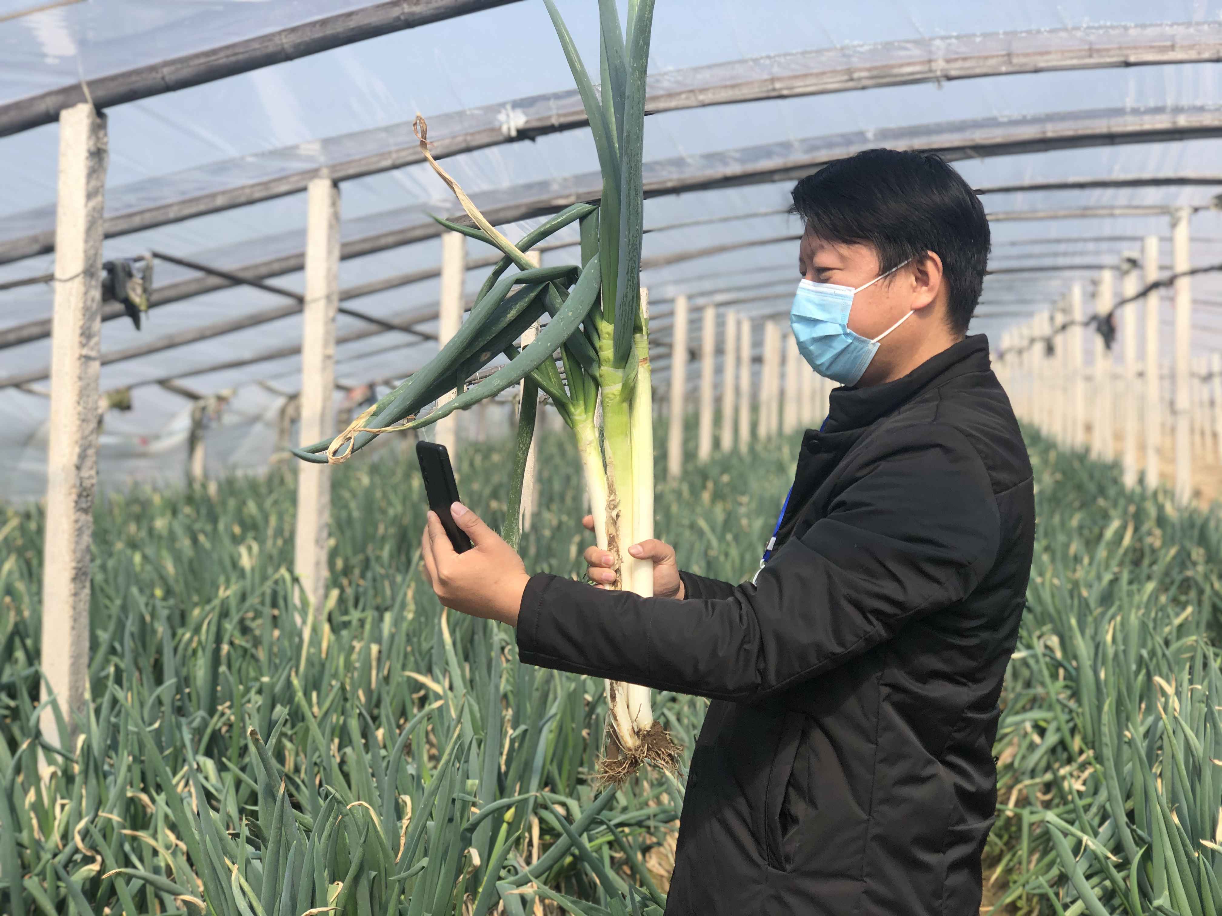 网格员做“村播”， 滞销“葱”卖出好价钱