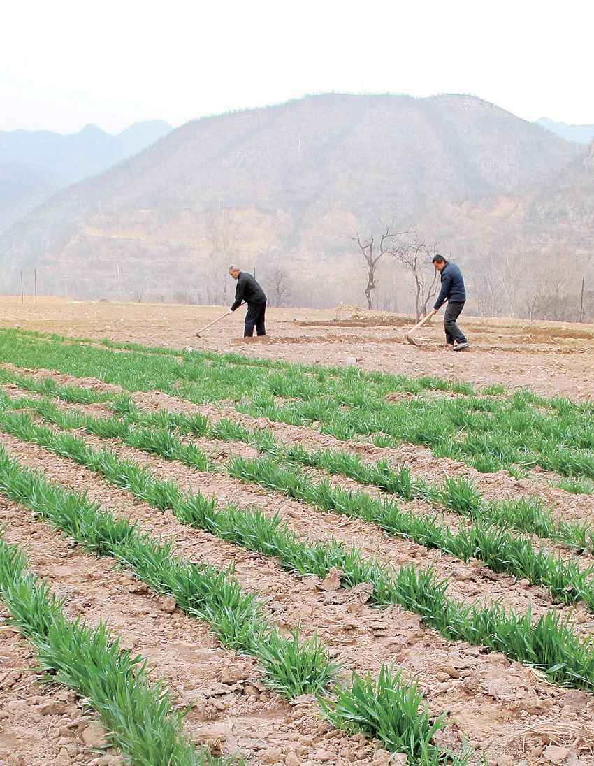 山西：科技“硬核”助力复工复产