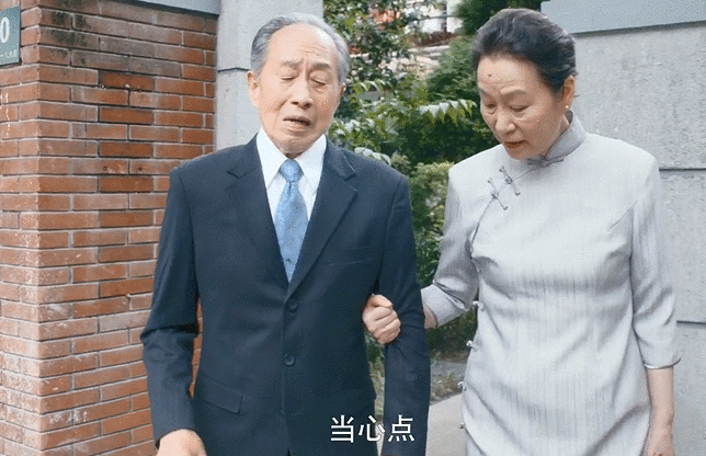 江奶奶和宋爷爷的爱情是什么样的？安家全集1-54集电视剧免费看资源