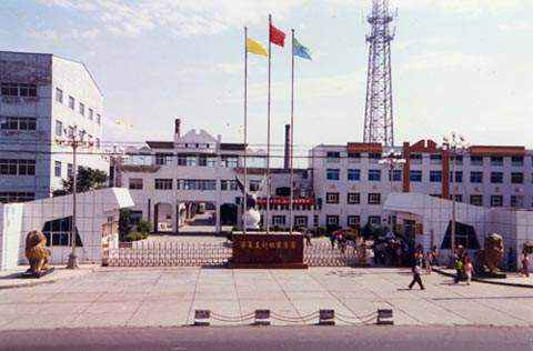 宁夏中卫美利林区沙漠污染问题整改：固废已安全处置，11名责任人被追责