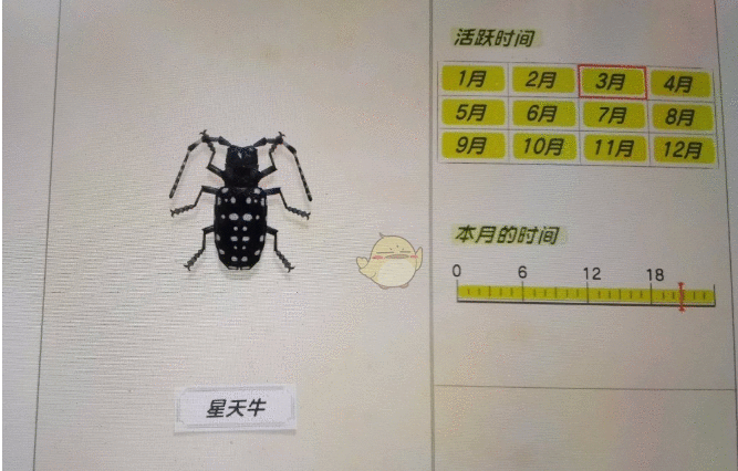 6.png