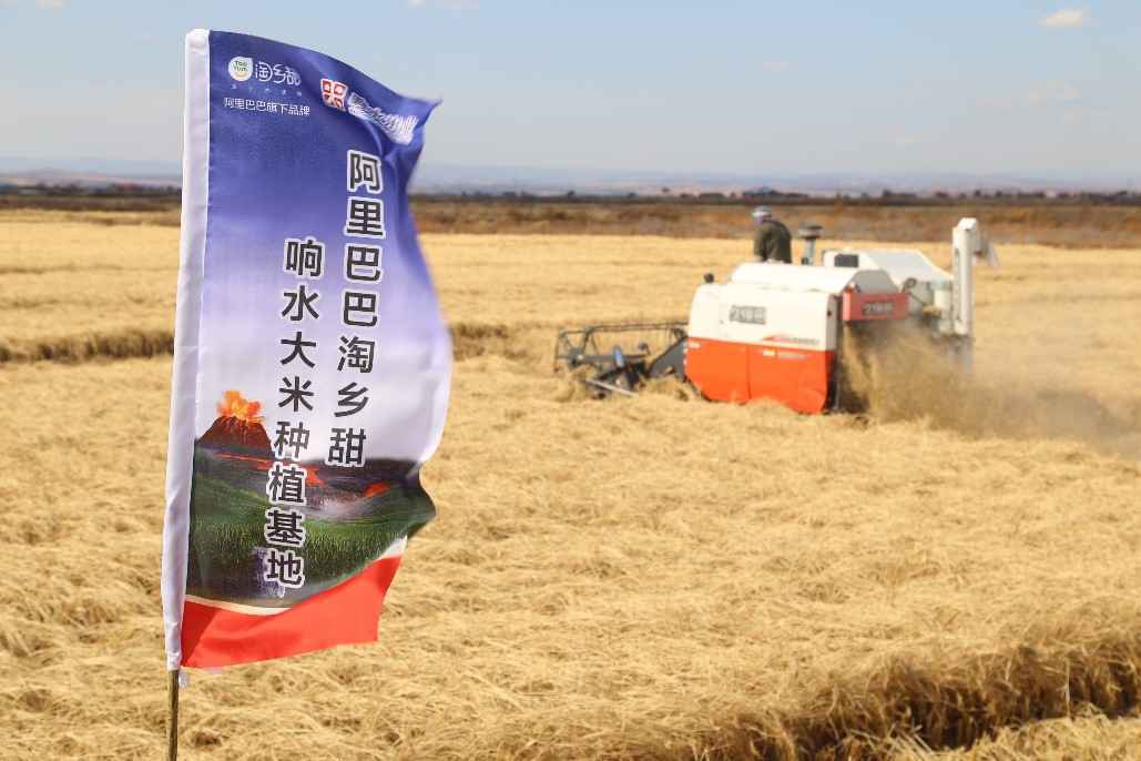 黑龙江入选首批阿里“数字粮仓”提速农业数字化