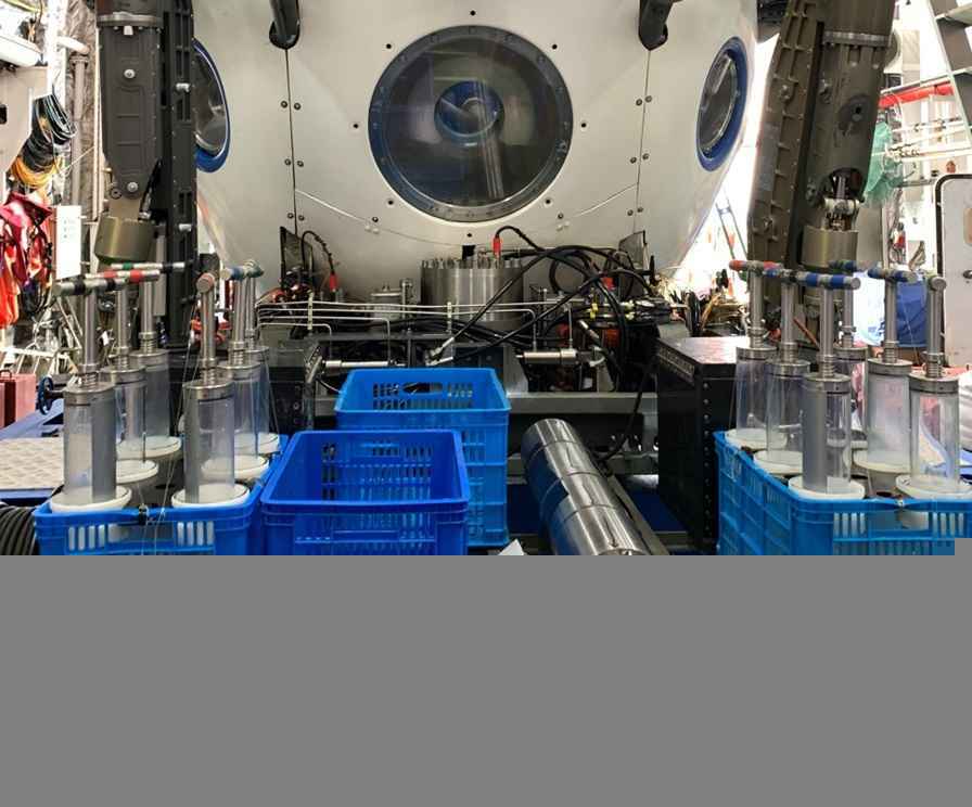 我国研发的三种深海原位荧光传感器海试获得成功