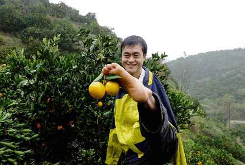 3.6吨血橙无偿捐赠武汉医护 网友：希望不是营销 是真实的暖心故事