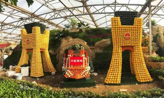 南瓜重500斤，蛇瓜长3米……“中国菜篮子”里的新风景