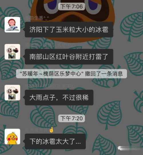 山东冰雹怎么回事？山东为什么下冰雹了现场图曝光竟有汤圆大小