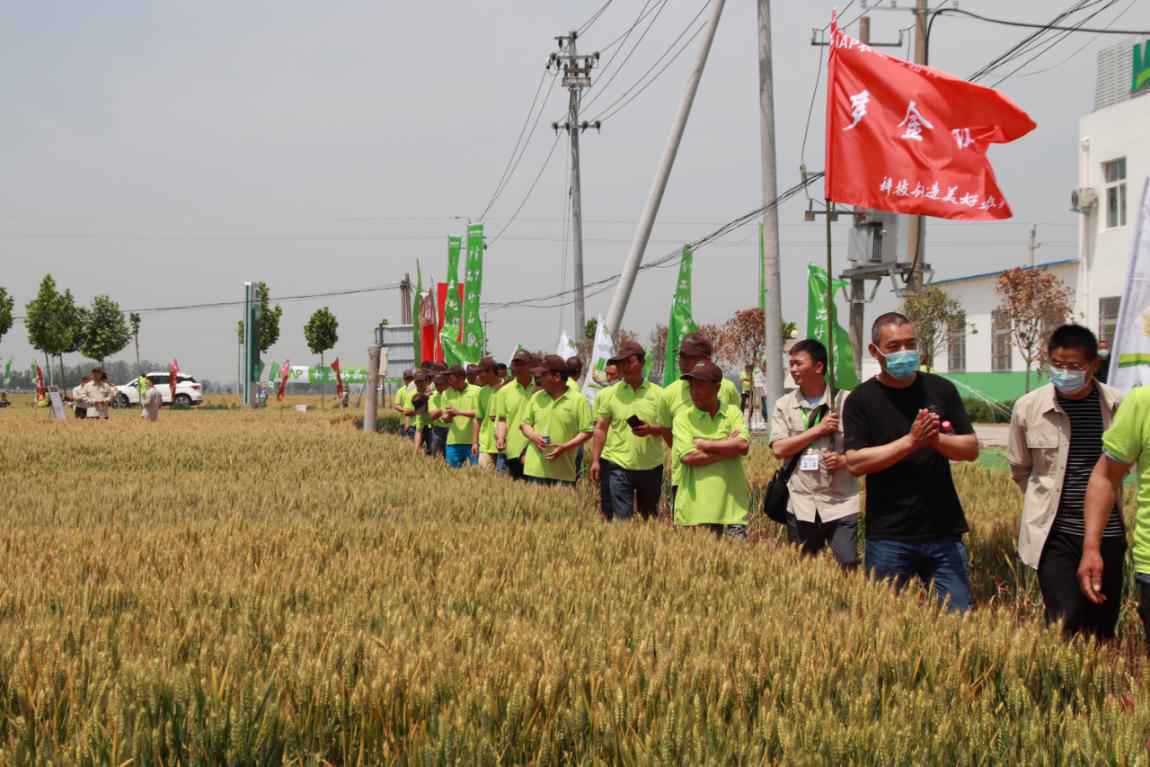 “丰吹麦浪—MAP农场丰收直播月”系列活动首场在河南临颍拉开帷幕