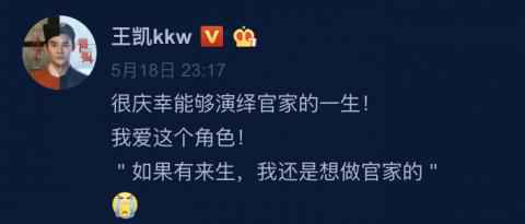 王凯我还是想做官家的 王凯为什么这么说清平乐王凯结局是什么