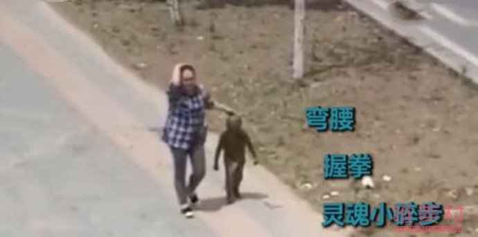 妈妈领泥娃回家邻居笑开花 现场图曝光太逗趣网友隔着屏幕笑出声