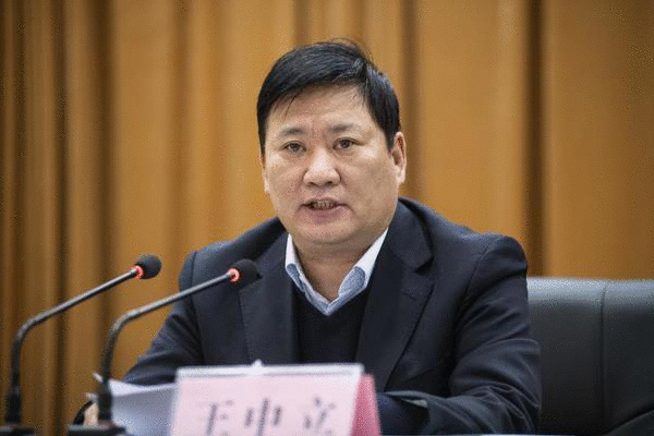 王中立代表：建议郑州建设独立法人资格的中外合作大学