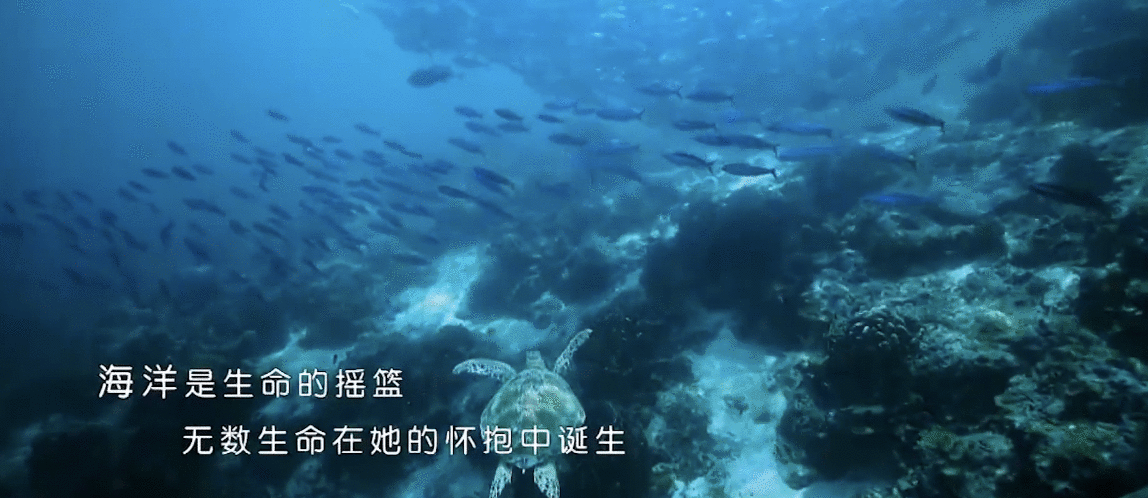 江苏2019年海洋生产总值突破8000亿元