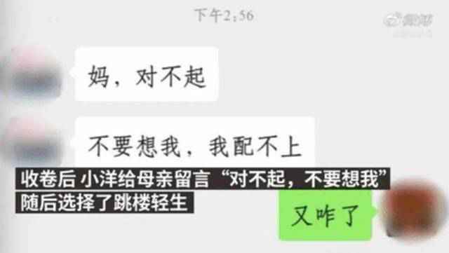 作弊被抓后坠亡大学生家属再发声：老师未及时疏导