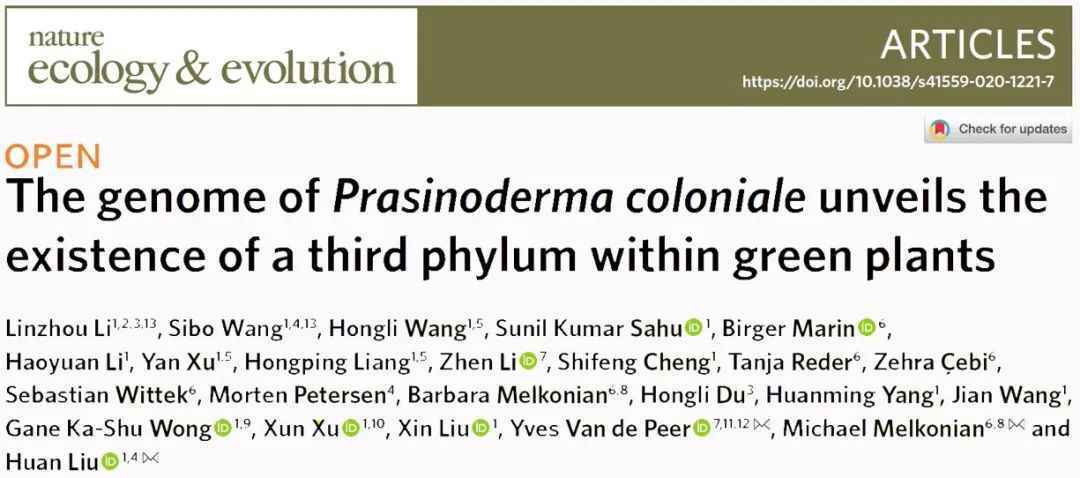 科学家首次发现绿色植物第三门——“华藻门”