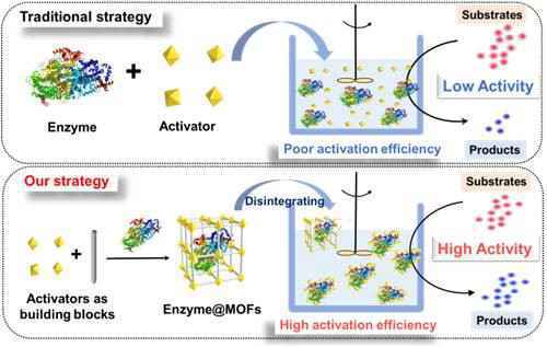 MOFs“崩解剂”：晶态多孔材料助力高性能生物催化剂创制