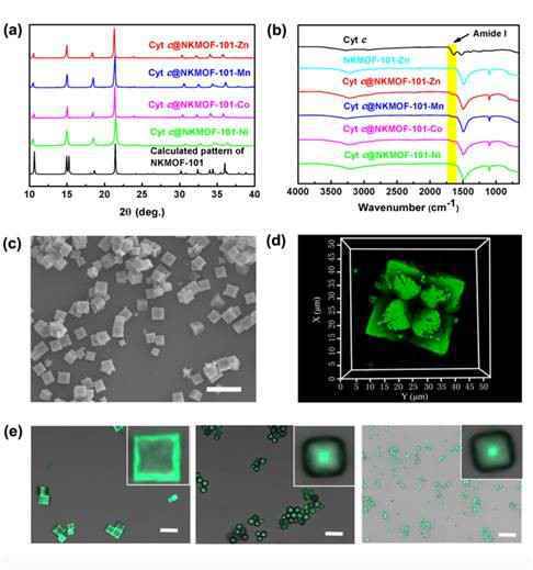 MOFs“崩解剂”：晶态多孔材料助力高性能生物催化剂创制