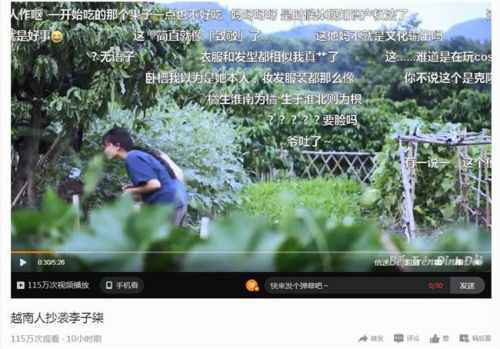 越南博主抄袭李子柒怎么回事？越南博主抄袭李子柒视频在线看