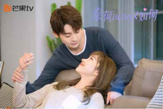 奈何boss又如何电视剧在线观看 完整版资源高清播放