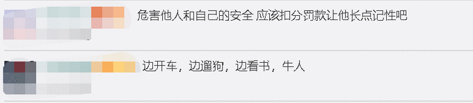 司机开车时边撸狗边看书怎么回事 详细经过现场图网友炸了