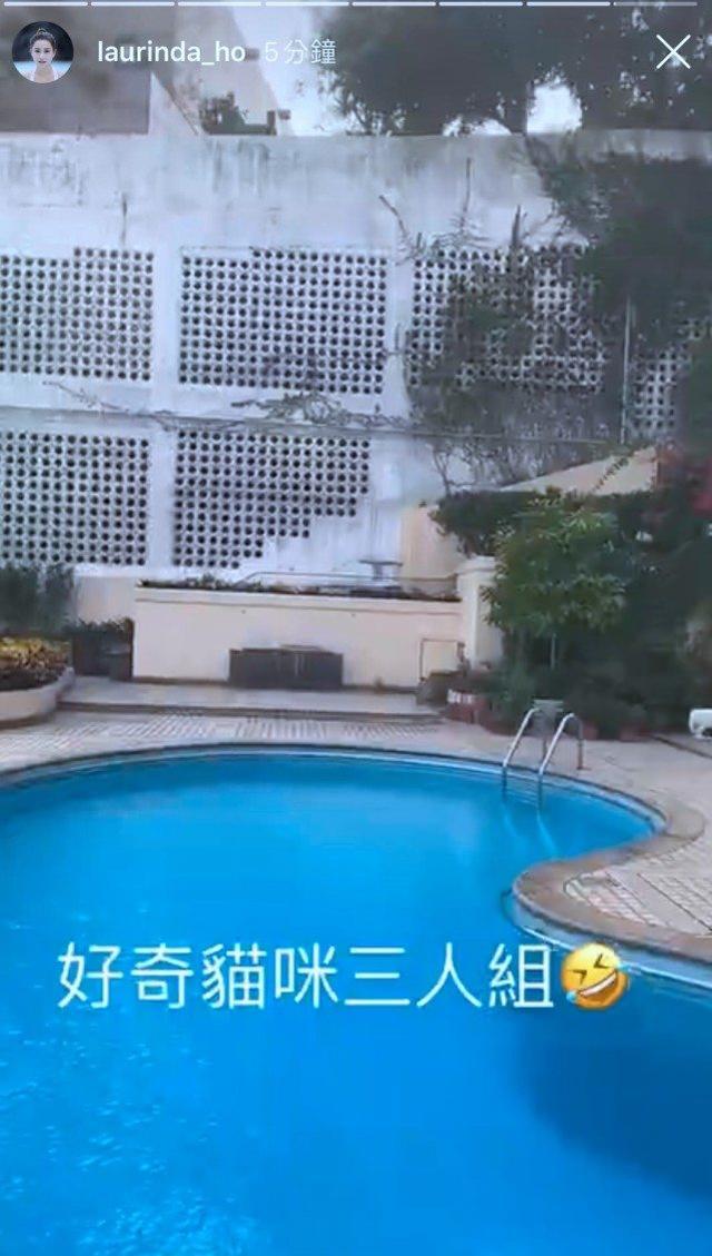 何超莲窦骁疑已同居是真的吗 何超莲窦骁什么时候在一起的