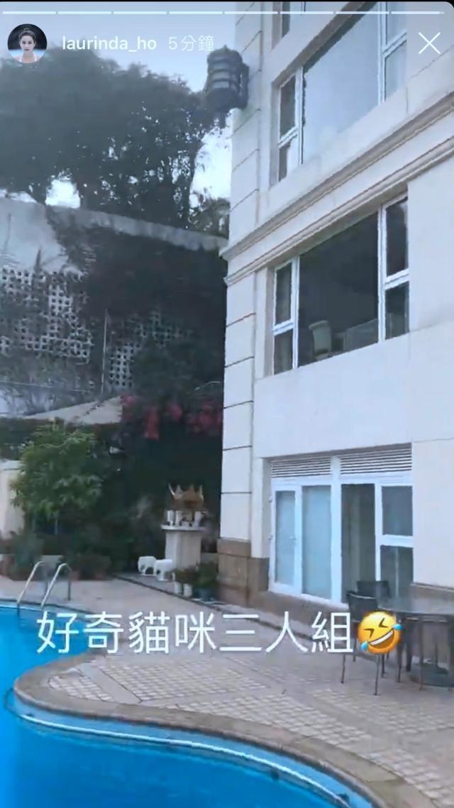 何超莲窦骁疑已同居是真的吗 何超莲窦骁什么时候在一起的