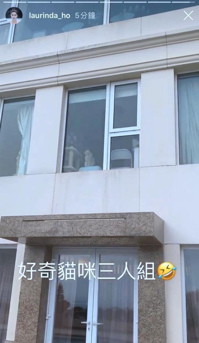 何超莲窦骁疑已同居是真的吗 何超莲窦骁什么时候在一起的