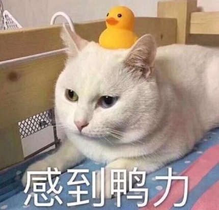 微博职场pua是什么意思 微博职场pua是什么梗出处在哪里